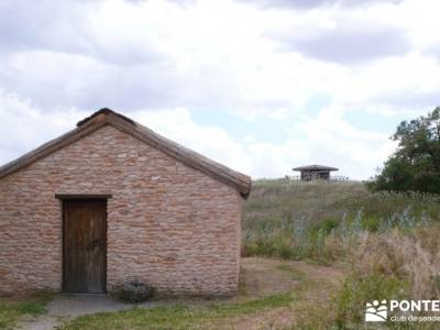 Tablas de Daimiel - Senderismo básico;rutas de senderismo cerca de madrid;mochila de trekking